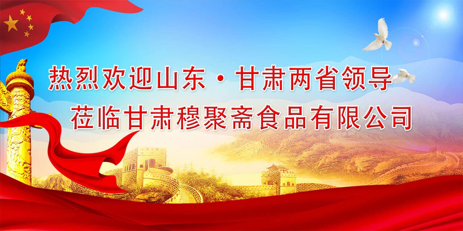 山東省、濟南市黨政代表團蒞臨甘肅穆聚齋食品有限公司